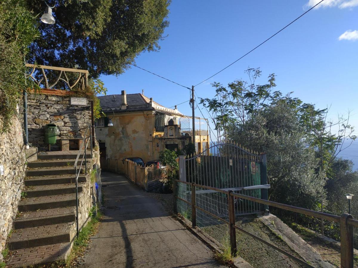 Casaviva - Ampio Trilocale Vista Mare Con Piscina - Pieve Alta Apartment Pieve Ligure Exterior foto